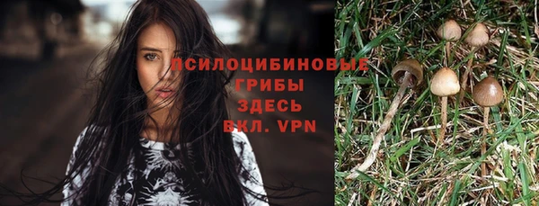 спайс Нижний Тагил