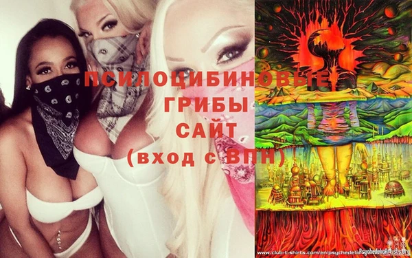 гидропоника Чита