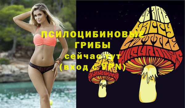 гидропоника Чита