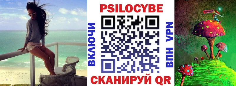 где найти   Баймак  Псилоцибиновые грибы Cubensis 